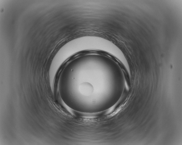 X0000087590188200704271316