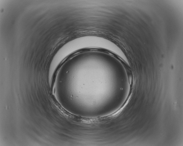 X0000087590190200704271316