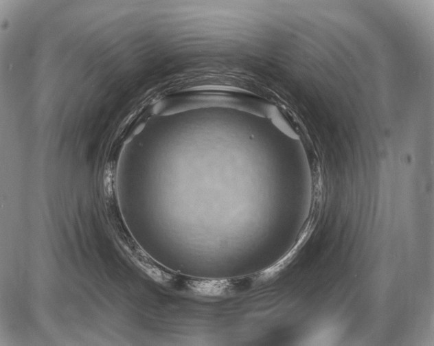 X0000087590191200704271316