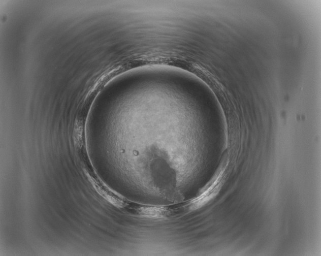 X0000087590192200704271316