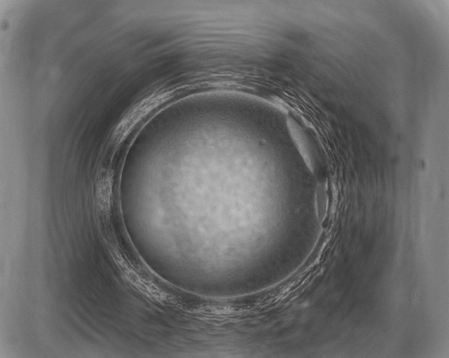 X0000087590194200704271316