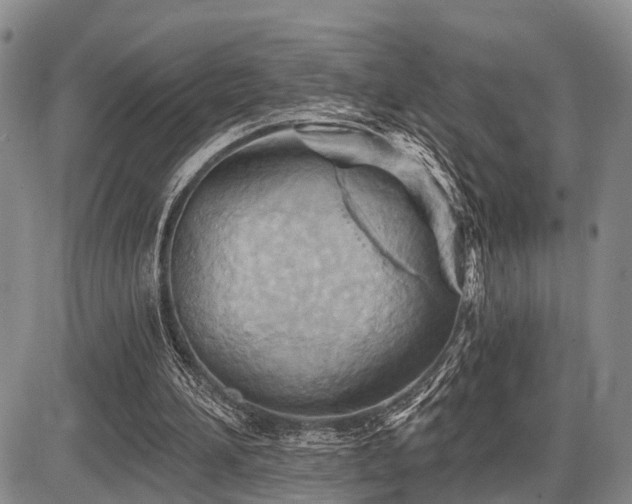 X0000087590196200704271316