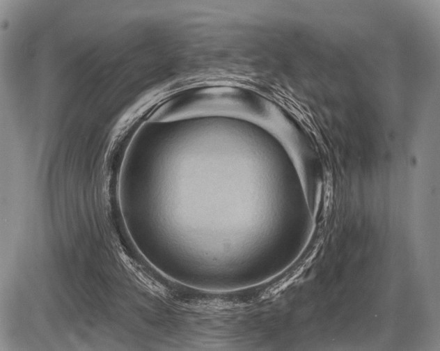 X0000087590197200704271316