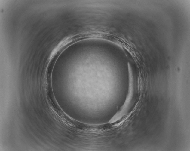 X0000087590198200704271316