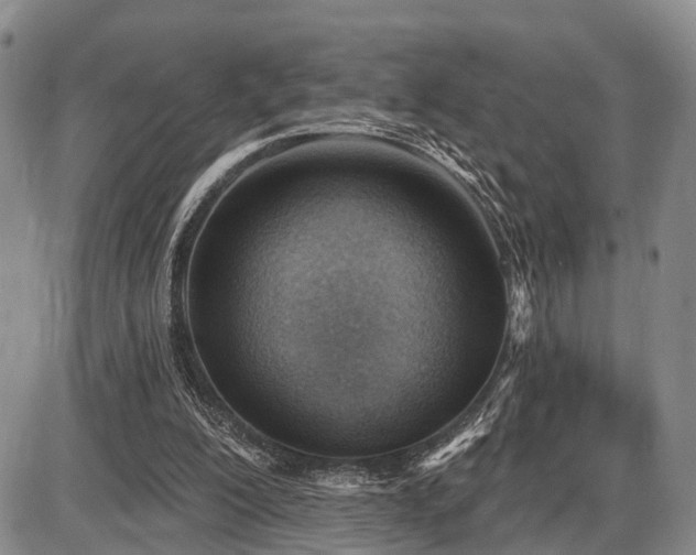 X0000087590200200704271316