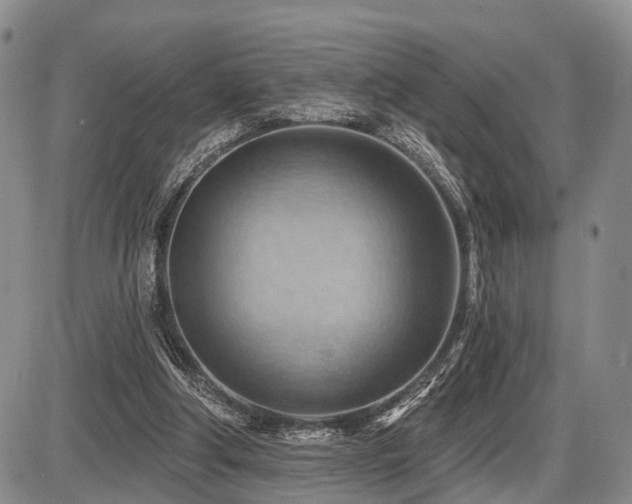 X0000087590202200704271315