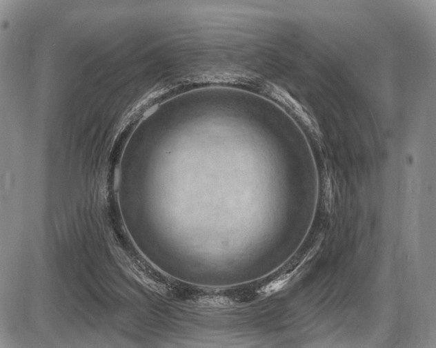 X0000087590203200704271315