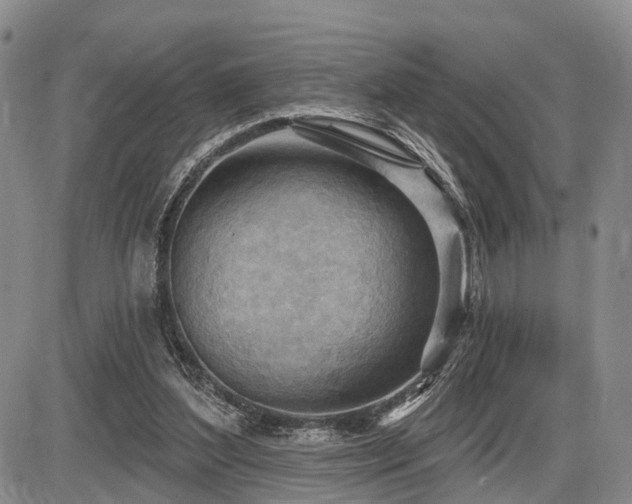 X0000087590204200704271315