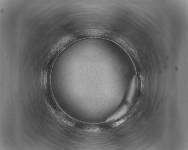 X0000087590206200704271315