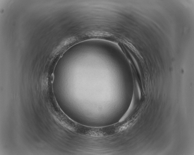 X0000087590207200704271315