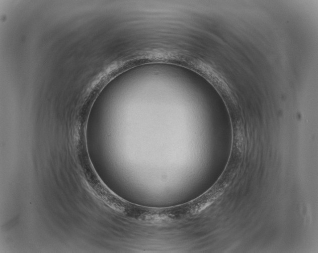 X0000087590208200704271315