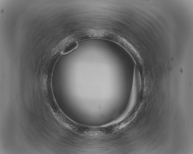 X0000087590209200704271315