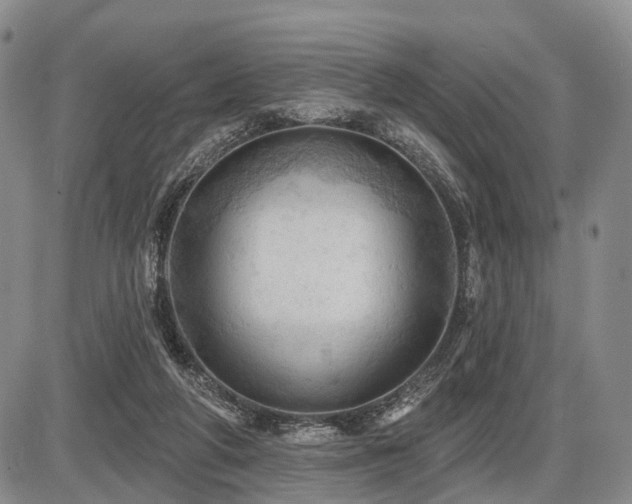 X0000087590210200704271315