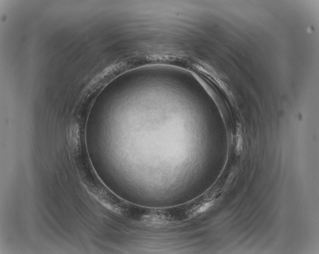 X0000087590211200704271315