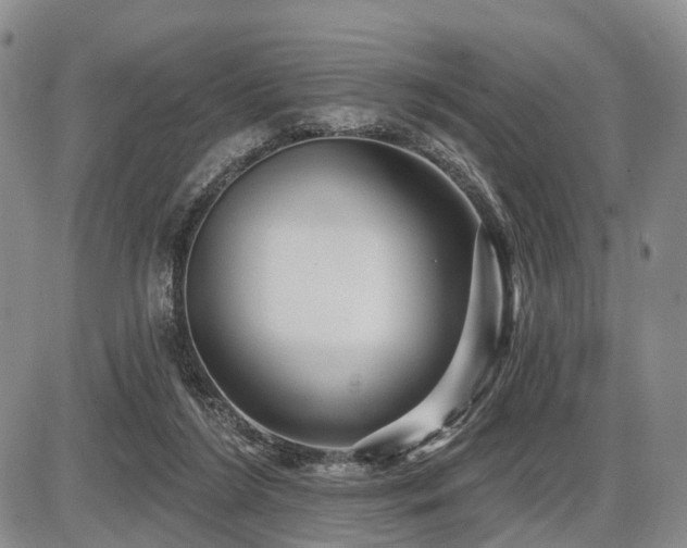 X0000087590212200704271315