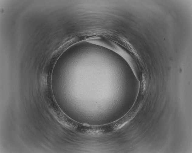 X0000087590213200704271315