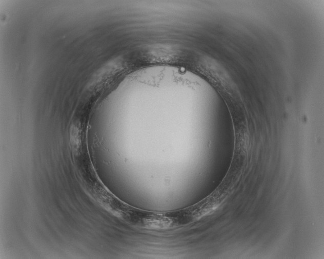 X0000087590215200704271315