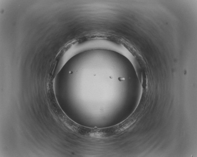 X0000087590216200704271315