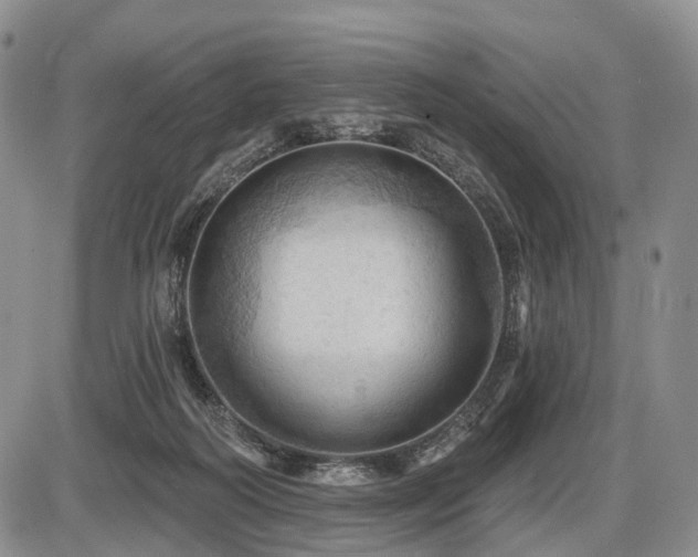 X0000087590218200704271315