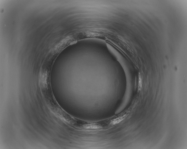 X0000087590219200704271315