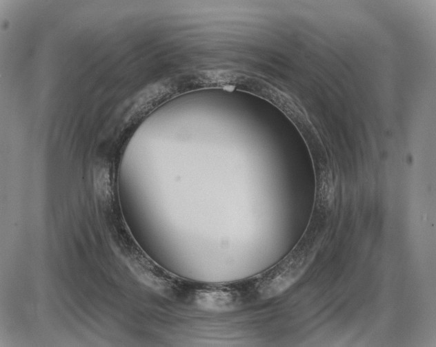 X0000087590220200704271315