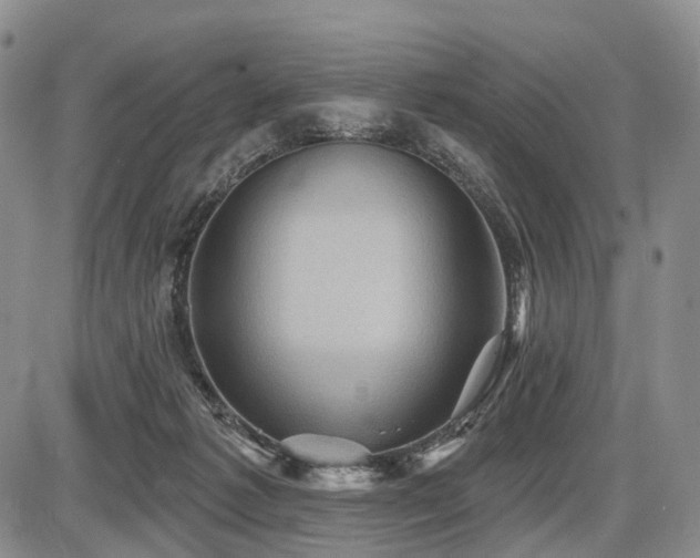 X0000087590221200704271315