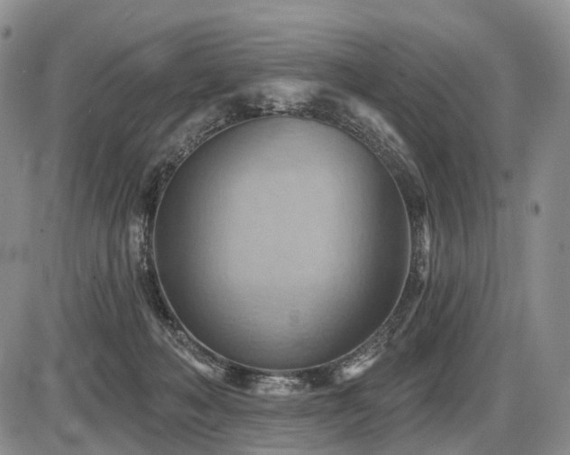 X0000087590222200704271315