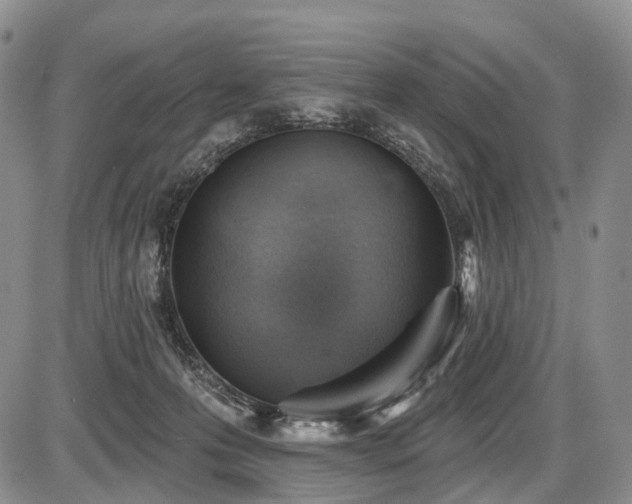 X0000087590223200704271315