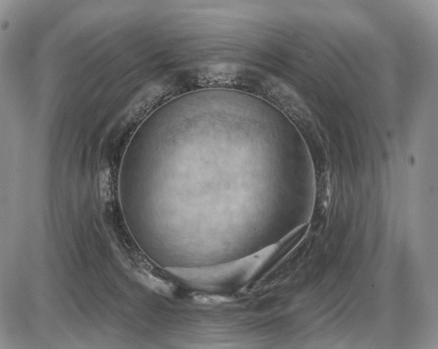 X0000087590224200704271315