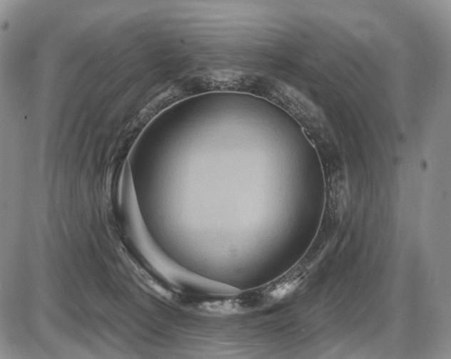 X0000087590225200704271315