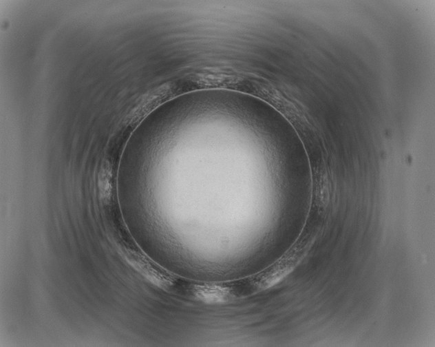 X0000087590226200704271315