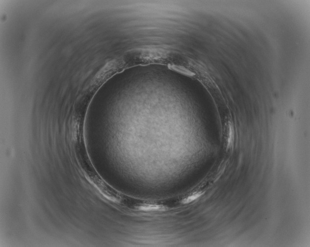 X0000087590227200704271315