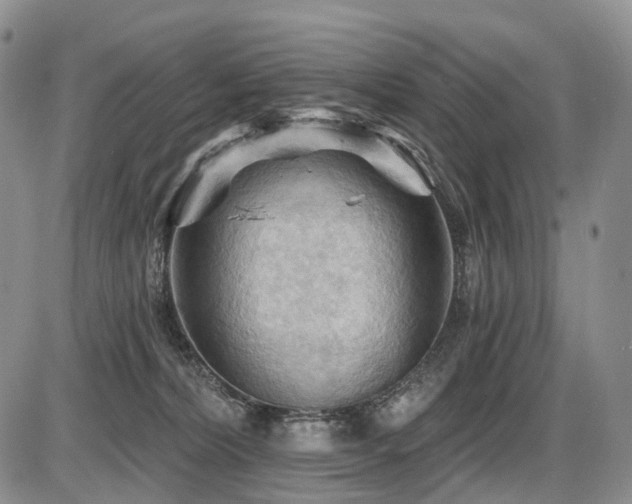 X0000087590228200704271315