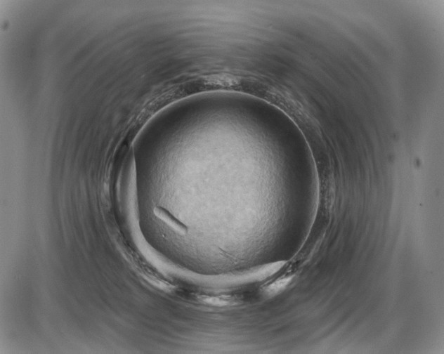 X0000087590229200704271315