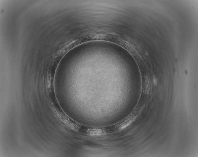 X0000087590230200704271315