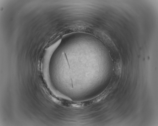 X0000087590232200704271315