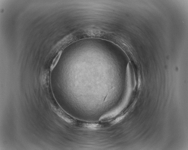 X0000087590233200704271315