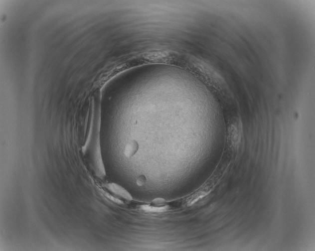 X0000087590234200704271315