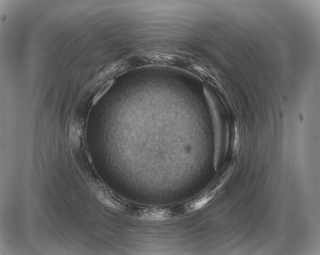 X0000087590235200704271315