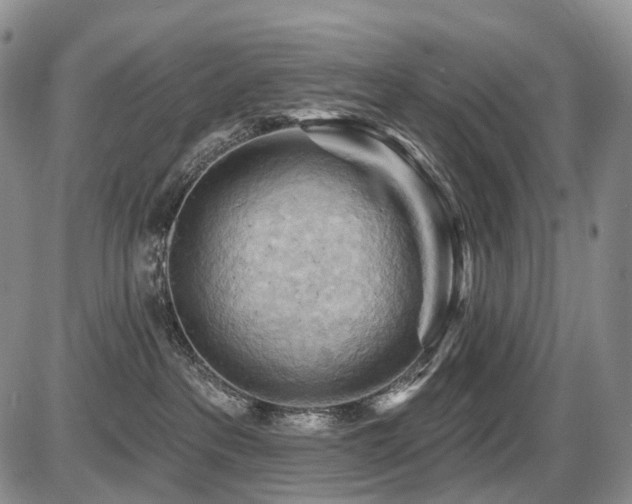 X0000087590237200704271315