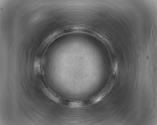 X0000087590238200704271315