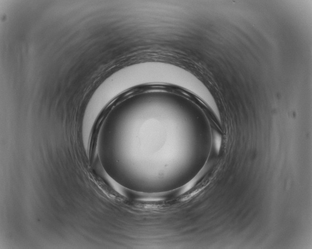 X0000087590239200704271315