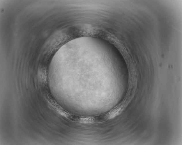 X0000087590240200704271315