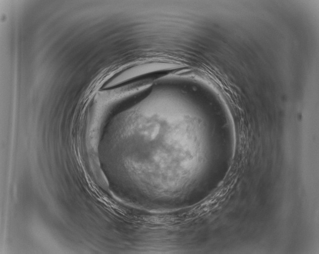 X0000087590241200704271314