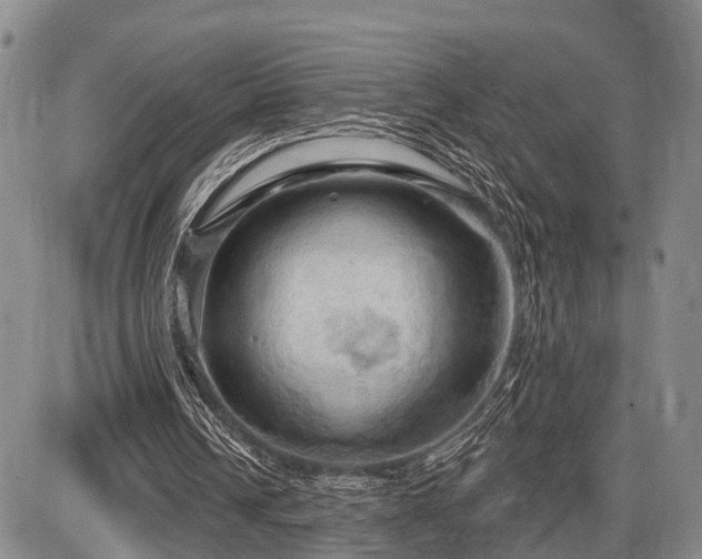 X0000087590242200704271314