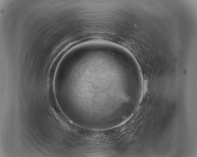 X0000087590243200704271314