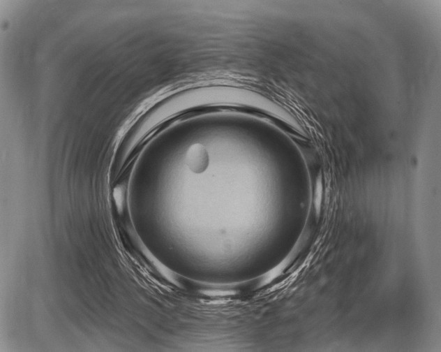 X0000087590244200704271314