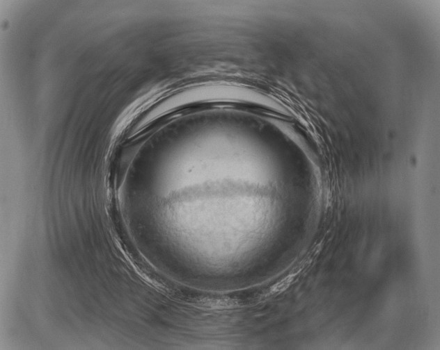 X0000087590245200704271314