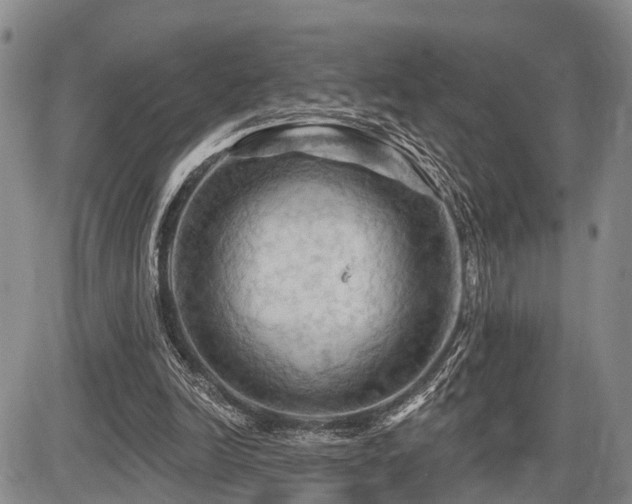 X0000087590246200704271314