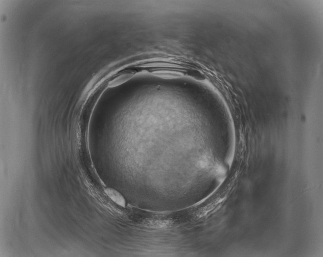 X0000087590247200704271314